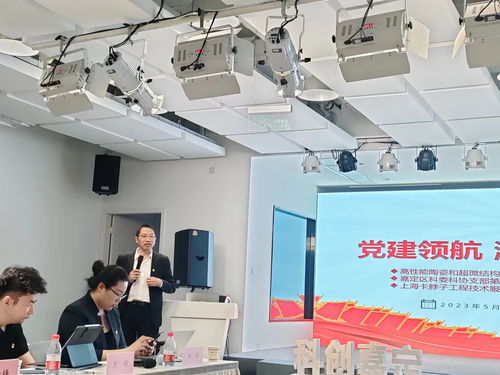 黨建領(lǐng)航 激發(fā)科創(chuàng)新動能 多方聯(lián)合主題黨日活動聚焦信息技術(shù)咨詢服務(wù)